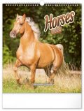 neuveden: Kalendář 2024 nástěnný: Koně, 30 × 34 cm