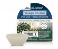 neuveden: YANKEE CANDLE Twinkling Lights vonný vosk 22g