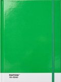 neuveden: Pantone Zápisník tečkovaný L - Green 16-6340