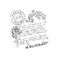 neuveden: Šablona Cadence HomeDeco - levandulové psaní / 25x25 cm