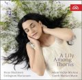 Blažíková Hana: Mariánská muzika - CD