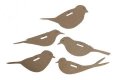 neuveden: Sada kartonových tvarů - Ptáci 5 ks