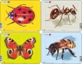 neuveden: Puzzle MINI - Beruška, motýl, mravenec, včela/5 dílků (4 druhy)