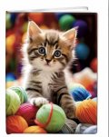 neuveden: Památník Kitten čistý