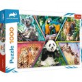 neuveden: Trefl Puzzle Animal Planet: Království zvířat/1000 dílků