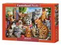 neuveden: Castorland Puzzle -  Kočičí dům 2000 dílkú