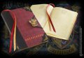 neuveden: Harry Potter: Zápisník - Nebelvír