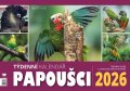 neuveden: Kalendář 2026 Papoušci - stolní, týdenní