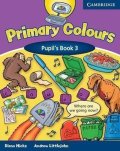 Hicks Diana: Primary Colours 3: Pupil´s B.