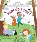 Daynes Katie: How Do I See?