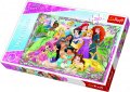 neuveden: Trefl Puzzle Disney Princess - Setkání princezen / 260 dílků