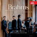 kolektiv autorů: Brahms: Kvintety - CD