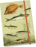 -: Notýsek Nordic Fishes