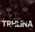 Karika Jozef: Trhlina - CDmp3 (Čte Josef Kaluža a Norbert Lichý)