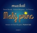 Bergman Richard: Malý princ - muzikál - 2 CD (Antoine de Saint-Exupéry - Vojtěch Dyk)