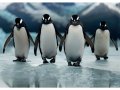 neuveden: 3D pohlednice Four Penguins AI