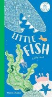 Rand Emily: Little Fish : A Carousel Book