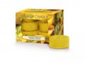 neuveden: YANKEE CANDLE Tropical Starfruit svíčka 9,8g čajová 12ks
