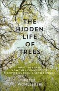 Wohlleben Peter: The Hidden Life of Trees