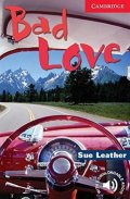 Leather Sue: Bad Love