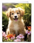 neuveden: Památník Puppy čistý