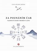 Ervin Laszlo: Zkušenosti s Akašou