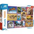 neuveden: Trefl Puzzle Animal Planet: Divoká příroda/1000 dílků