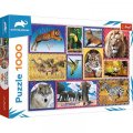 neuveden: Trefl Puzzle Animal Planet: Divoká příroda/1000 dílků