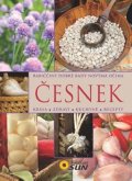 neuveden: Česnek - Babiččiny dobré rady novýma očima