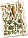 -: Notýsek Vegetables