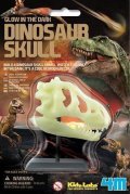 neuveden: Dinosauří lebka