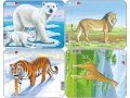 neuveden: Puzzle MINI - Divá zvěř/7 dílků (4 druhy)