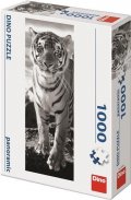 neuveden: Puzzle Černo-bílý tygr 100 dílků panoramatické