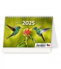 neuveden: Kalendář stolní 2025 - Mini 14denní kalendář