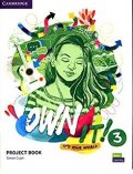 Lewis Samantha, Vincent Daniel: Own It! 3 Project Book