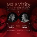 kolektiv autorů: Malé vizity aneb malé vizity - Opakování je matka moudrosti