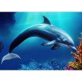 neuveden: Pohlednice 3D Corl Dolphin AI