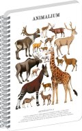 : Spirálový blok Animalium - Sudokopytníci, čistý, A4