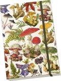 -: Notýsek Mushroom Forest