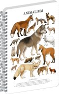 : Spirálový blok Animalium - Psovité šelmy, linkovaný, A4