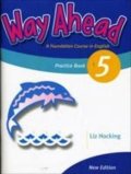 Hocking Liz: Way Ahead (new ed.) Level 5: Practice
