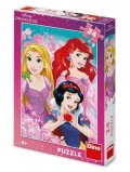 neuveden: Puzzle Krásné princezny 24 dílků