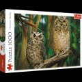 neuveden: Trefl Puzzle Sovy / 1000 dílků