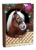 neuveden: Box na sešity A4 - Sweet Horse