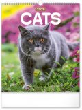neuveden: Kalendář 2024 nástěnný: Kočky, 30 × 34 cm