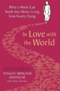 Rinpoche Yongey Mingyur: In Love with the World