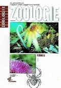 kolektiv autorů: Zoologie 1 - Bezobratlí