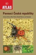 Kůrka Antonín: Pavouci České republiky
