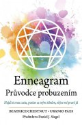 Chestnut Beatrice: Enneagram - Průvodce probuzením