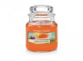 neuveden: YANKEE CANDLE Passion Fruit Martini svíčka 104g